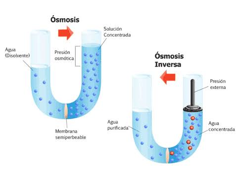 osmosis y osmosis inversa
